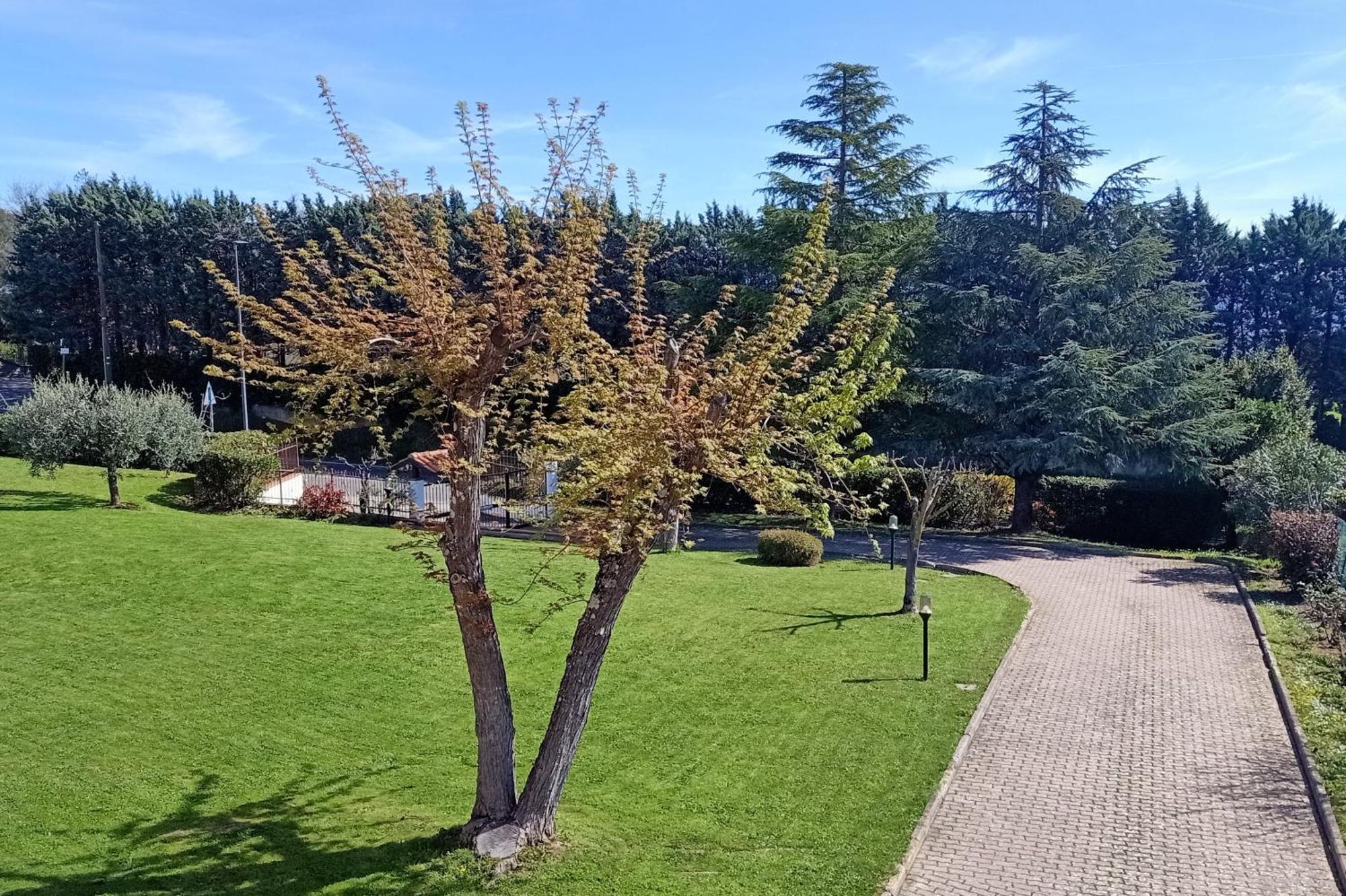 Villa Casa Del Carmine Anghiari Exterior foto